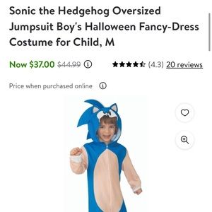 Sonic the hedgehog costume
